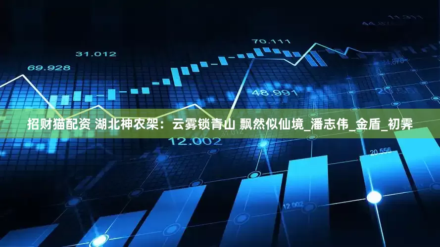 招财猫配资 湖北神农架：云雾锁青山 飘然似仙境_潘志伟_金盾_初霁