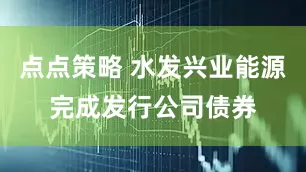 点点策略 水发兴业能源完成发行公司债券
