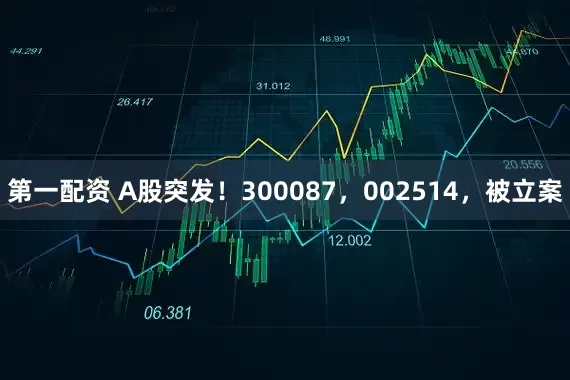 第一配资 A股突发！300087，002514，被立案
